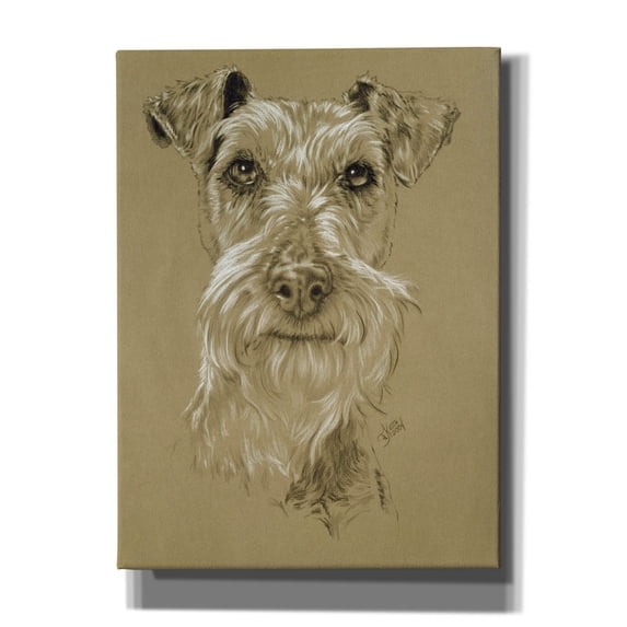 Epic Graffiti 'Irish Terrier' by Barbara Keith, Canvas Wall Art, 40"x54"
