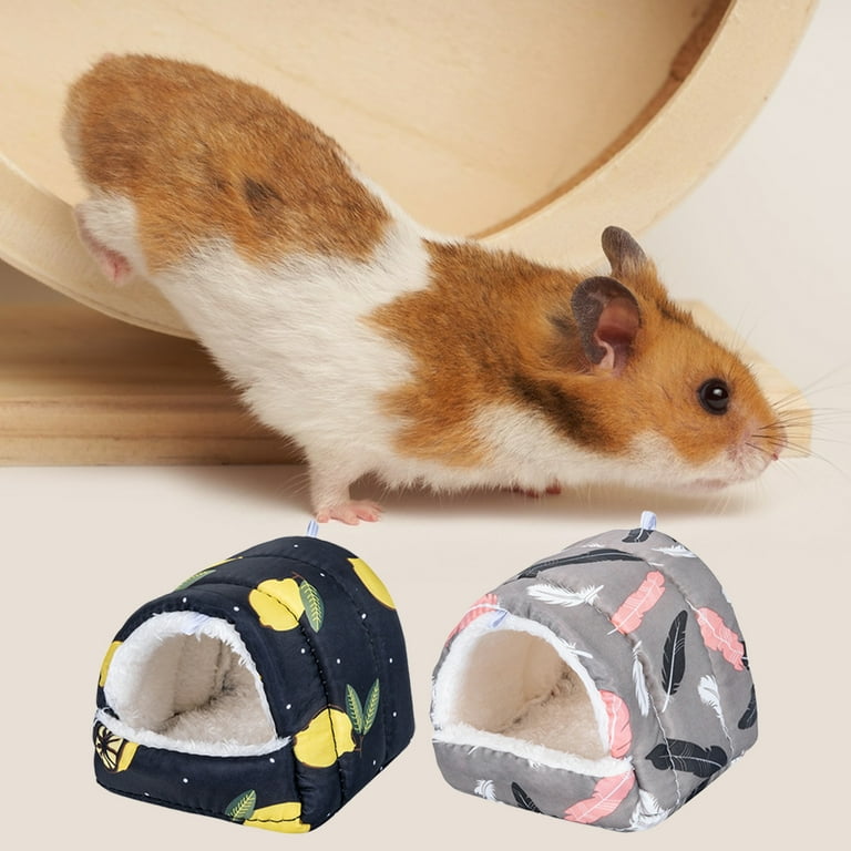 Do hamsters cheap get colds