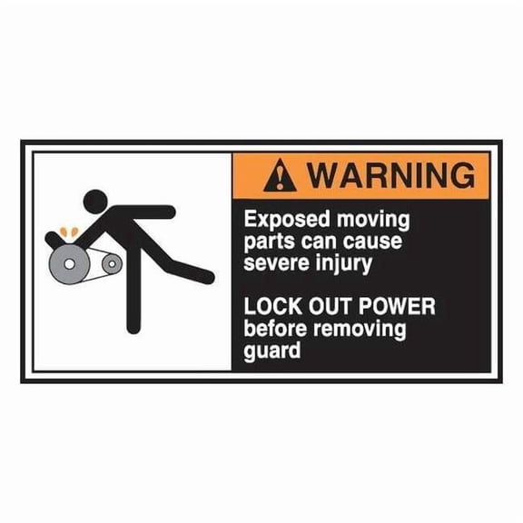 Accuform CEMA Label,2 1/2 in x 5 in,Vinyl,PK5 LECN360