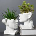 thumbnail image 5 of Maceta con cabeza de cerámica blanca, maceta suculenta, maceta decorativa pequeña para cactus con orificio de drenaje, detalles de decoración del hogar para estantes, 5 of 5