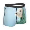 thumbnail image 3 of Haiem Dog Wrapped in Towel Men's Boxer Briefs, Every Day Comfort Stretch Cotton Moisture-Wicking Underwear-Large, 3 of 9