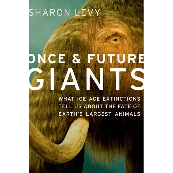 Once & Future Giants: What Ice Age Extinctions Tell Us about the Fate of Earth's Largest Animals, (Paperback)