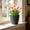 Dark Gray, variant on Large Round Faux Woven Rattan Plastic Planter with Matching Drainage Tray, Breathable Shatterproof Flower Pot for Succulents Houseplants Indoor Decor, Dark Gray