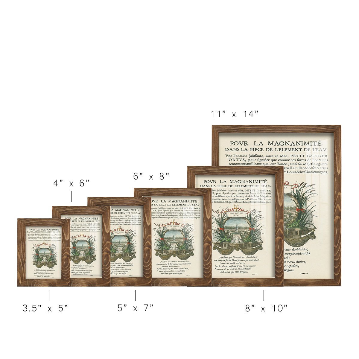 Printed Embellished Bookplate II - Framed Print w/glass - Walnut