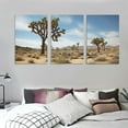 thumbnail image 3 of Nawypu  Joshua Tree National Park California Desert Landscape Photo Stretched Canvas Wall Art 12''x16''X3 Panels, 3 of 4