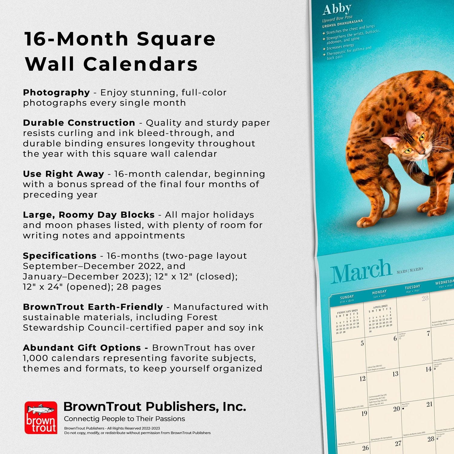 Yoga Cats OFFICIAL | 2023 12x24 Inch Square Wall Calendar