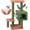 Green, variant on All-in-One Activity Center with Cat Scratching Post, Cozy Sleeping Perch, Hammock and Toy Balls – Cactus Cat Tree Tower with Twin Cat Condos for Indoor Cats