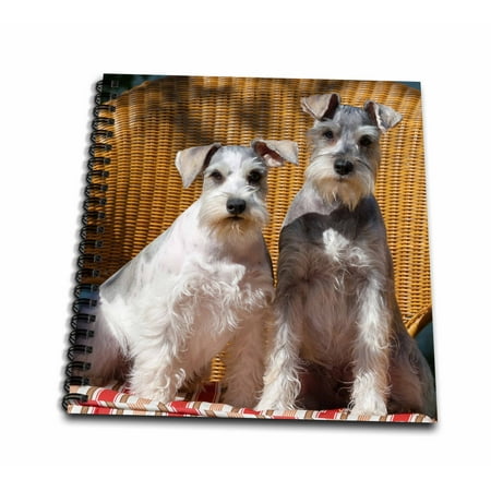 3dRose Two Schnauzers sitting on a wicker chair - Mini Notepad, 4 by