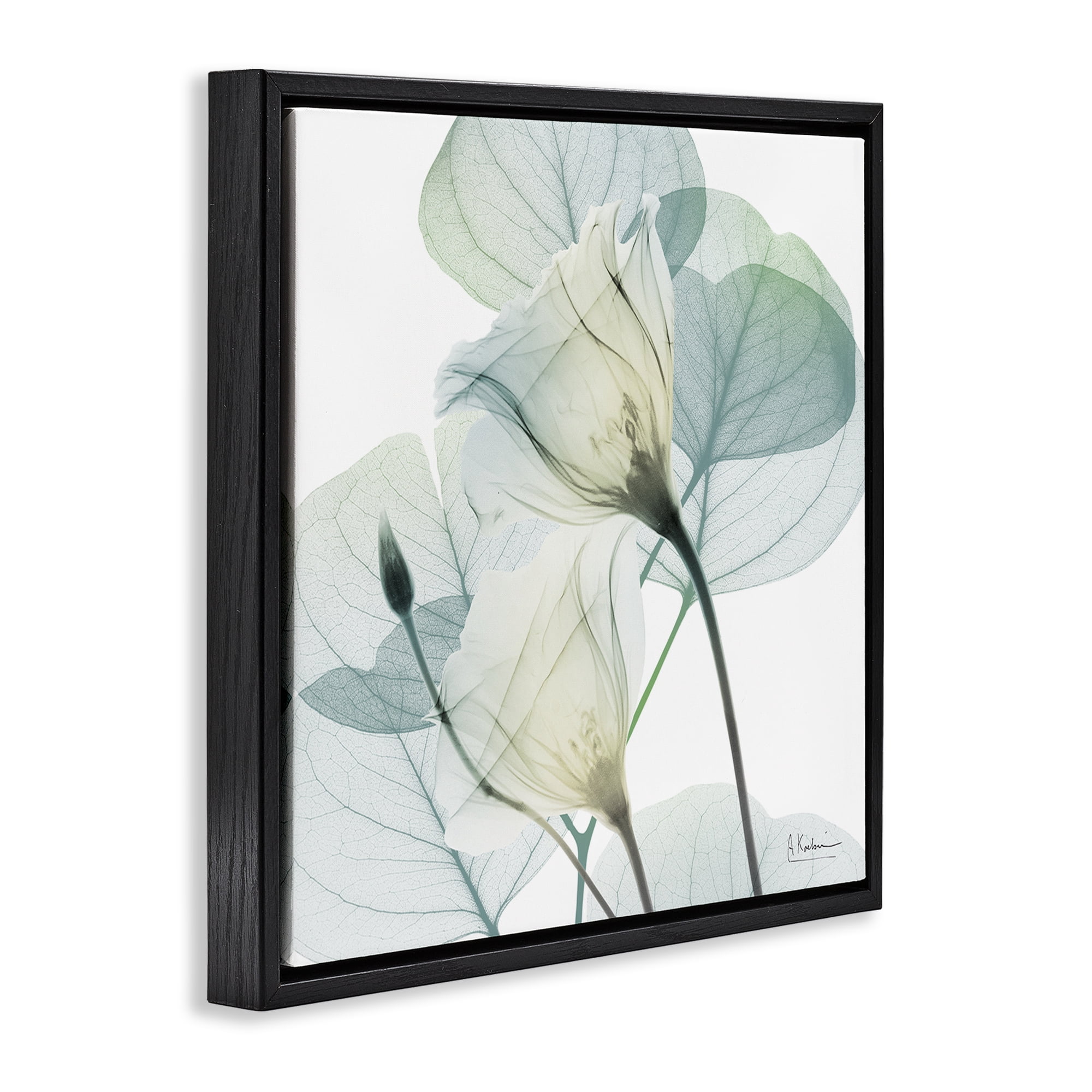 Stupell Industries Divine Fate Petals Black Framed Floater Canvas Wall Art, design by Albert Koetsier