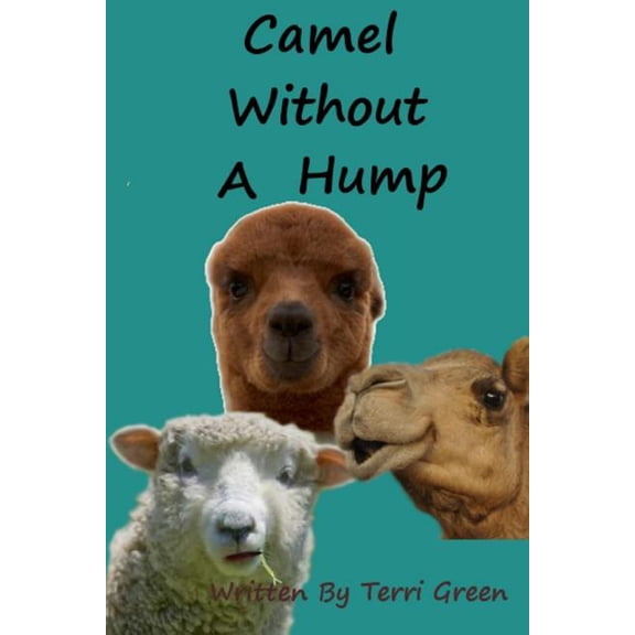 Camel Without A Hump (Paperback)