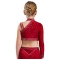 thumbnail image 5 of SiiRoh Girls 2-Piece Ballet Lyrical Dance Outfit Set Single Long Sleeve Crop Tops with Mesh Skirts Burgundy 16, 5 of 6