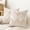 Brown, variant on Set of 2 Neutral Woven Decorative Boho Throw Pillows Covers for Couch Bed Home Decor, 18x18 inch, Brown