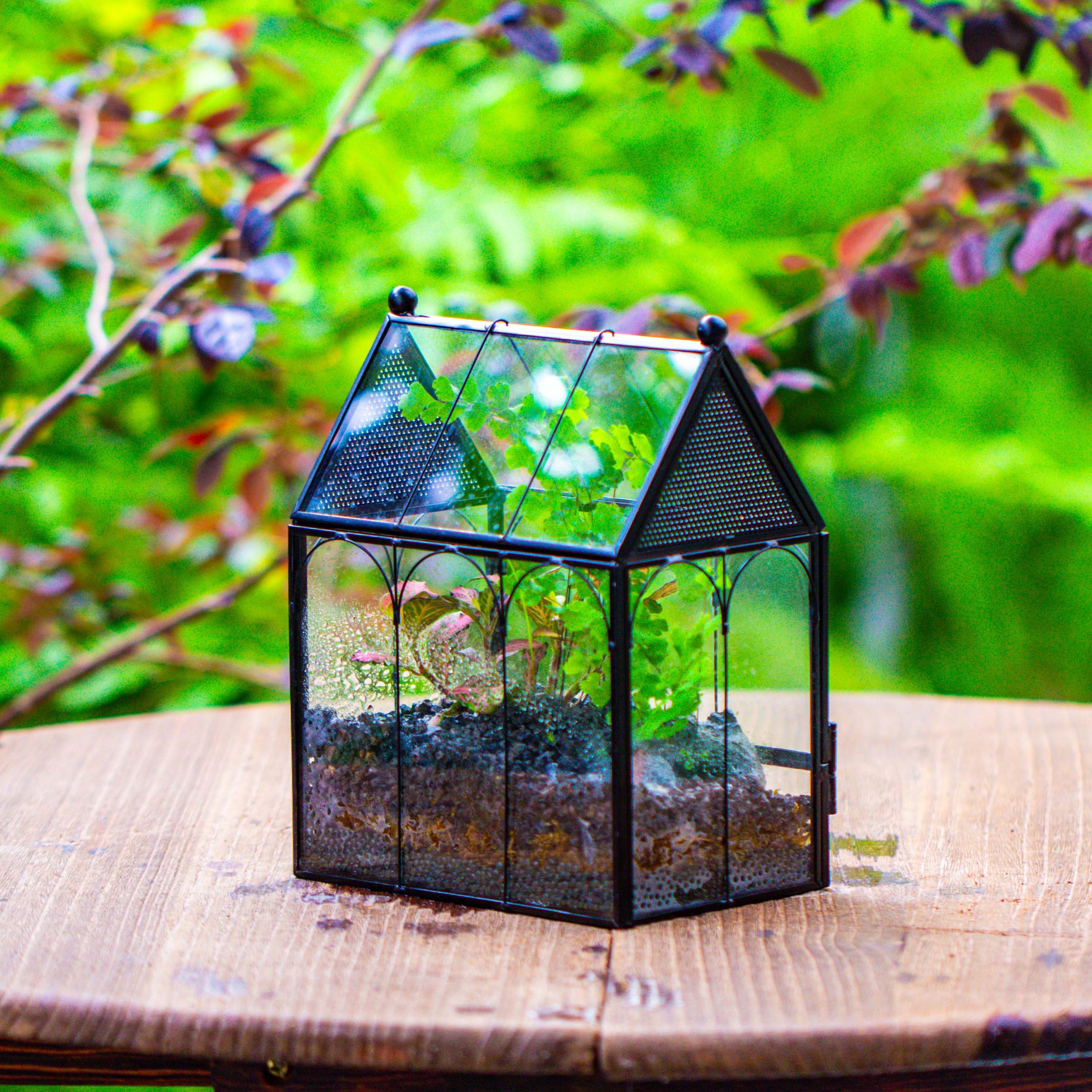 NCYP Small House Shaped Spider Enclosure Terrarium with Mesh, and Front Opening Door, Stainless Steel and Glass, Jumping Spider Small Insect Habitat, Terrarium Only