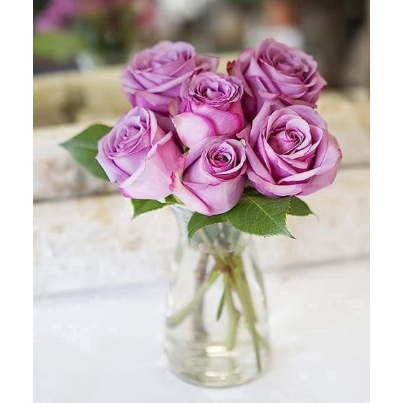 KaBloom : Bouquet of Fresh 6 Purple Roses in a Glass Vase, Next-Day Delivery, Gift for all occasions