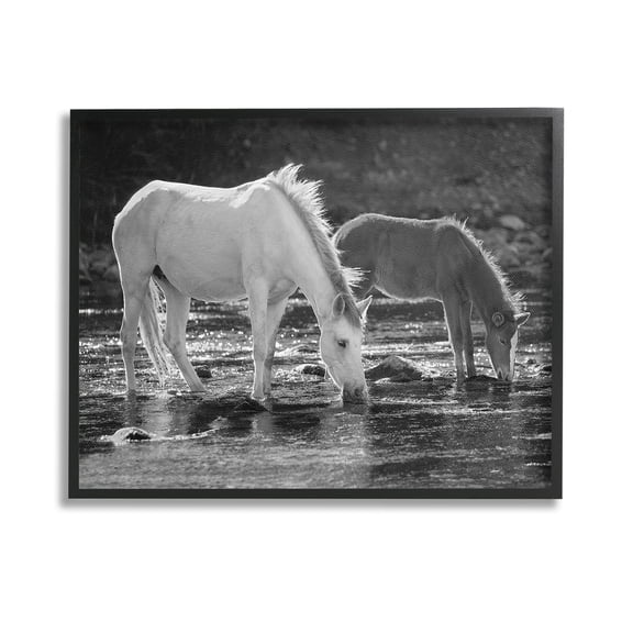 Stupell Industries Horses Drinking at Stream Animals & Insects Photography Black Framed Art Print Wall Art, 14 x 11