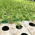 thumbnail image 4 of IDEANATEGRATE 4Ud Cestas Hidropónicas Transparentes Macetas De Malla Resistentes Para Plantas, 4 of 8