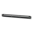 thumbnail image 1 of Tripp Lite N252-p24 24-port 1u Rack-mount Cat6 Patch Panel - Poe+ Compliant - 24 Port(s) - 24 X Rj-, 1 of 5