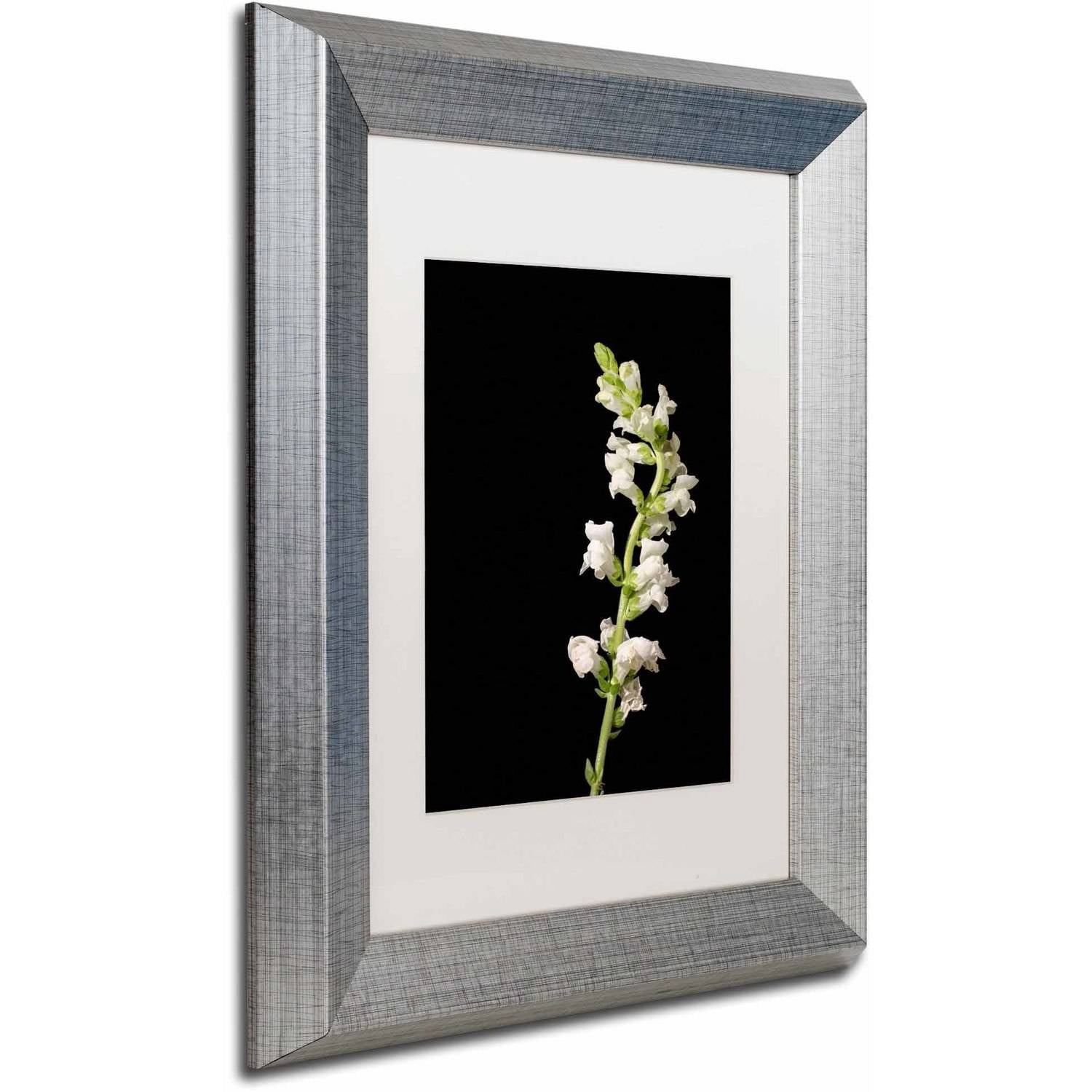 Trademark Fine Art 'White Snapdragons' Canvas Art by PIPA Fine Art, White Matte, Silver Frame