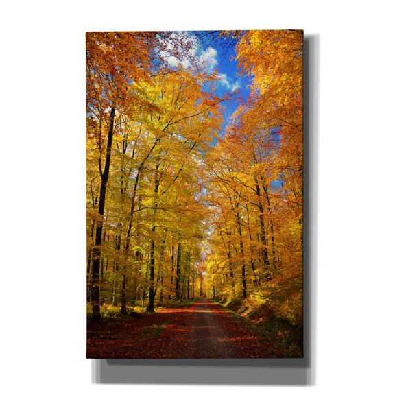 Epic Graffiti 'Way to Fall' by Philippe Sainte-Laudy, Canvas Wall Art, 12"x18"