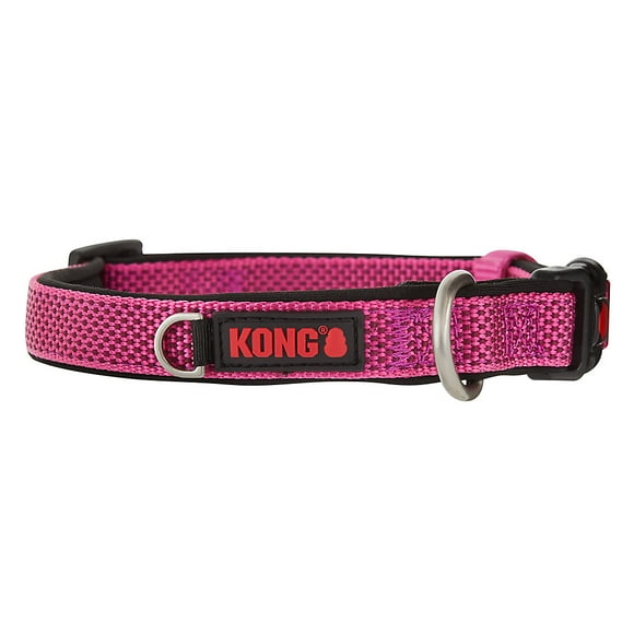 Kong Company Dog Collars & Leashes