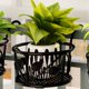 thumbnail image 4 of Rawiri 3 Robustos Soportes para Plantas de Metal, Soporte para Plantas para Decoración de Balcones, Bistros y Cafeterías, Soportes para Macetas Jardineras para Interiores y Exteriores, Estructura, 4 of 4