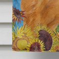 thumbnail image 4 of Caroline's Treasures SS4135CHF Chow Chow Flag Canvas, Grand, Multicolore, 4 of 5