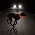 thumbnail image 4 of Led Dog Collar - Usb Rechargeable Light Up Dog Collar Glow In The Dark Led Luminous Collar, 4 of 5
