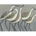 thumbnail image 2 of Art.com Shore Birds II Stretched Canvas Print Wall Art by Norman Wyatt Jr., 16" x 12", 2 of 4