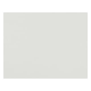 Economy Poster Board, White, 22 x 28, 100 Sheets