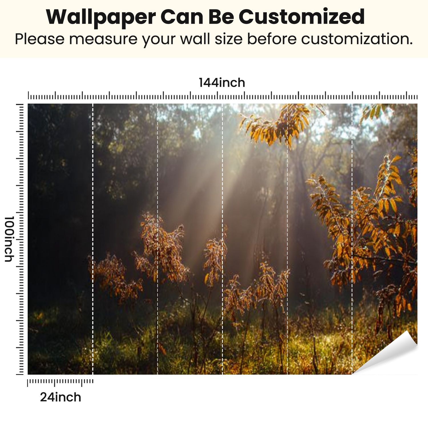Peel and Stick Wallpaper Morning forest Dew grass Modern Art Wall Mural Decor Self Adhesive and Removable 100in x 144in