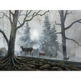 thumbnail image 3 of Lynnsy, B. 18x15 Black Modern Framed Museum Art Print Titled - Deer Path I, 3 of 5