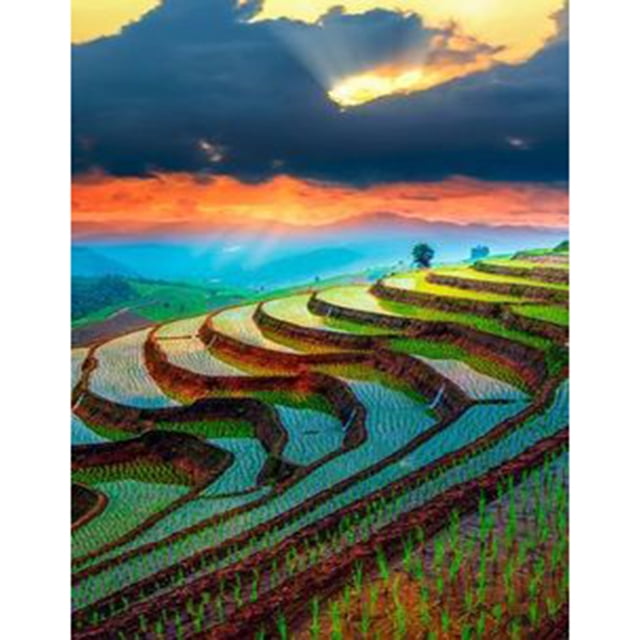 Diamond Painting (DE2255) 5D DIY Terraces Square Landscape Pictures (A048) 30x40cm Hugtrwg Para estrenar