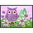 thumbnail image 1 of PJC1096MAT Qui Est Ton Ami Hibou Tapis Intérieur & Extérieur - 18 x 27 Po., 1 of 4