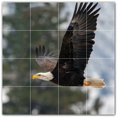 thumbnail image 1 of Picture-Tiles.com: Bird Ceramic Tile Wall Mural WAL500182-44S. 17"W x 17"H using (16) 4.25" x 4.25" Ceramic Tiles-Satin Finish, 1 of 3