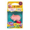 Oinkee Pig