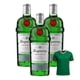 thumbnail image 1 of 3 Ginebra Tanqueray 750 ml + Jersey Verde, 1 of 3