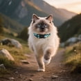 thumbnail image 7 of Dog Collar Pine Trees Puppy Collar Woods Adjustable Pet Collars with Quick Release Buckle for Small Dogs Walking Running, 7 of 7