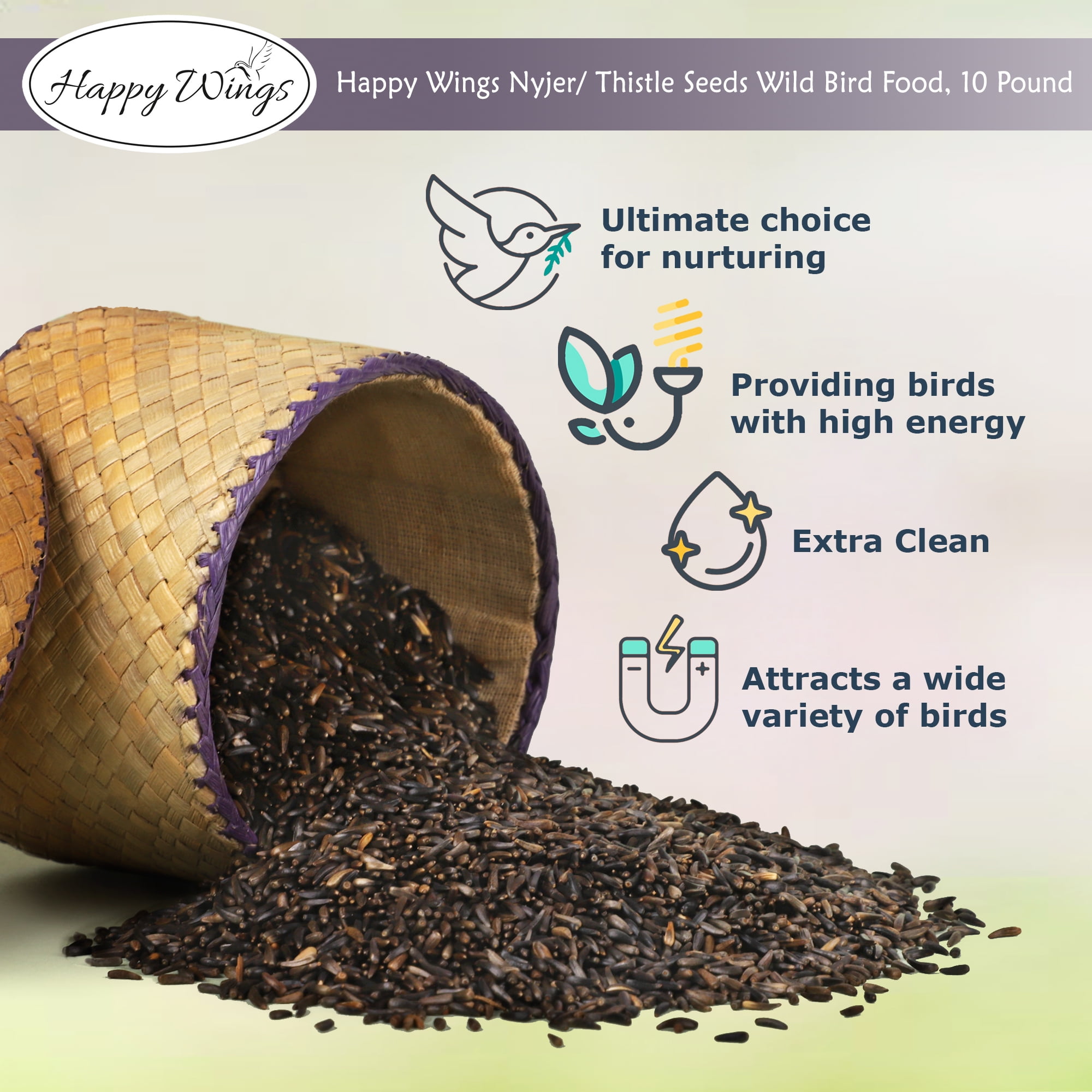 Happy Wings 8lbs No Grow Nyjer Seed Bird Food & 3 Empty Sock Feeders for Wild Bird Seed - Dry