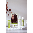 thumbnail image 3 of Naturtint 3NV Radiant Red Permanent Hair Color, 6 Pack (Packaging May Vary), 3 of 7