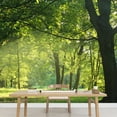 thumbnail image 3 of wall26 - Trees in a Summer Forest - Removable Wall Mural | Self-Adhesive Large Wallpaper - 66x96 inches, 3 of 6