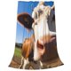 thumbnail image 2 of Balery Blue Sky Meadow Cute Cow Manta de Felpa Suave y Acogedora – Cobija de Franela Aterciopelada para Cama, Lavable y Cálida para Sofá, Mascotas, Transpirable-60"x50", 2 of 7