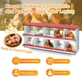 thumbnail image 3 of Cherish Chicken Nesting Box, Easy Egg Collection Large Vented Holes Chicken Coop Equipment with Vented Holes, Heavy Duty Chicken Nesting Boxes for Hens, Rabbits, Ducks, 3 of 8