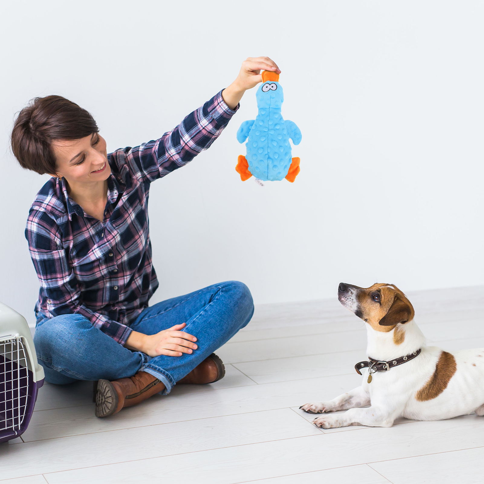 Sixwipe 2-Pc Squeaky Crinkle Dog Toys, Small photo 6