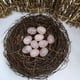 thumbnail image 2 of Mini huevos de pájaro de ágata de cristal de 20 mm (10 unidades) | Huevos de Pascua naturales pulidos | Cristales curativos diminutos de 2 cm | Simbolizan nuevos comienzos | Set de regalo con bolsas, 2 of 2