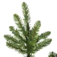 thumbnail image 2 of Vickerman 12' x 73" Nampa Pine Artificial Christmas Tree Featuring 5824 PVC Tips, Metal Stand is include, 2 of 2