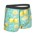 thumbnail image 3 of Bingfone Yellow Lemon Men'S Underwear - Casual Stretch Boxer Briefs-Small, 3 of 9