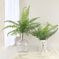 thumbnail image 5 of BKER Home Indoor Small For Outdoor For Indoor Outdoor Shelf Home Fern, 5 of 5