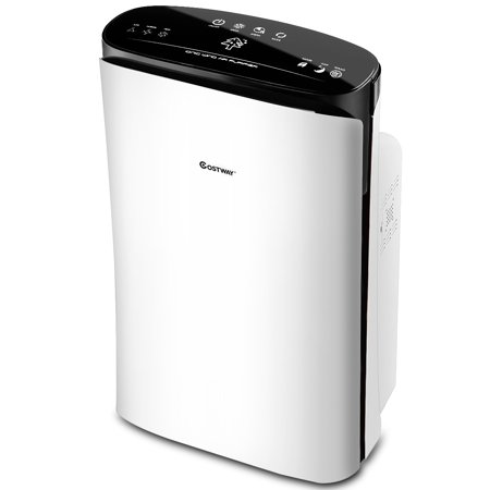 Best air purifier to remove smoke