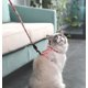 thumbnail image 3 of Arnés de correa para gato Arnés ajustable para gato y correa de cuerda para caminar con seguridad para gatitos (azul marino, S), 3 of 5