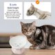 thumbnail image 5 of Cuencos para gatos, cuenco elevado de cerámica para gatos inclinado, protege la columna vertebral del gato, sin estrés, previene los vómitos Zhivalor Decoración, 5 of 6